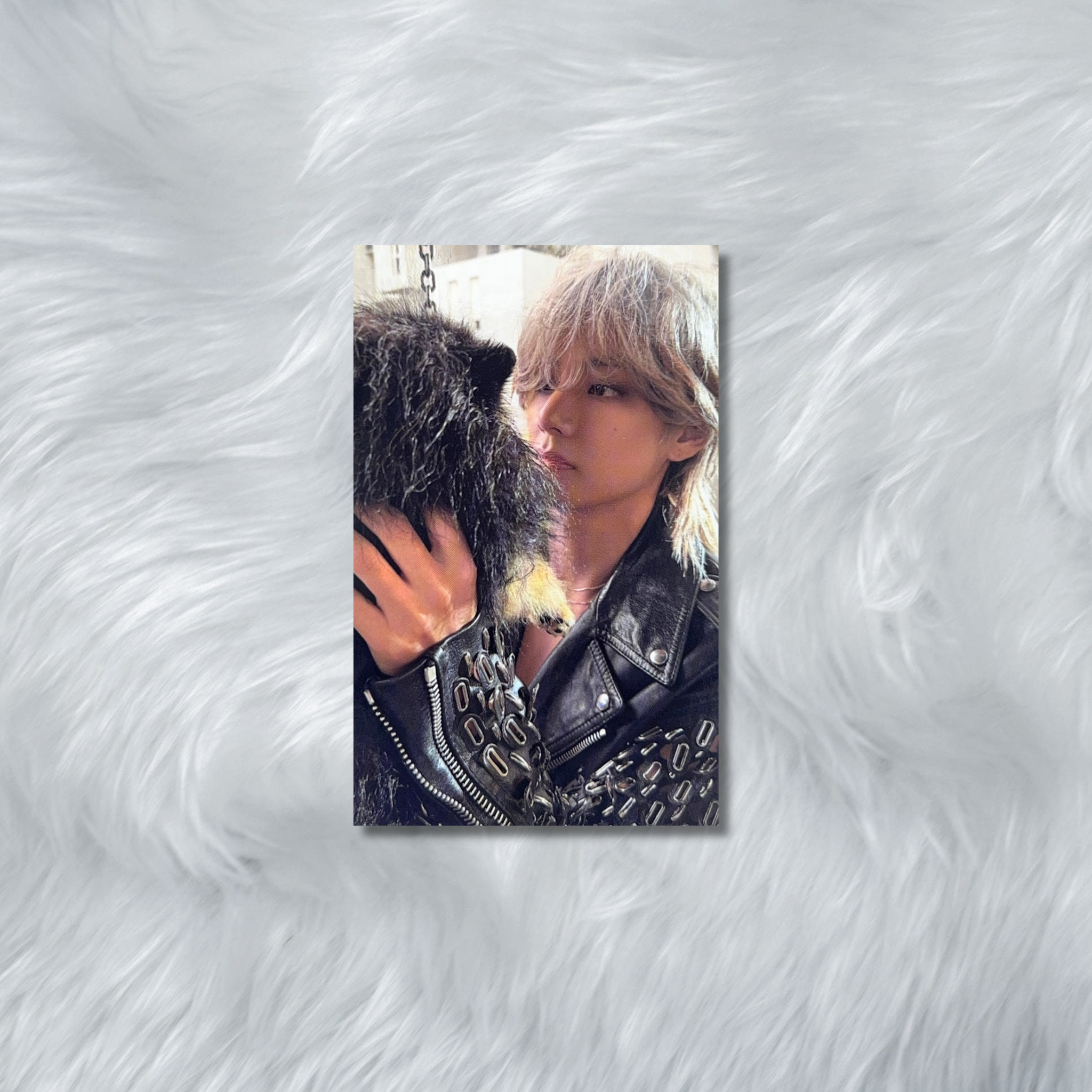 V-Layover Photocard #4