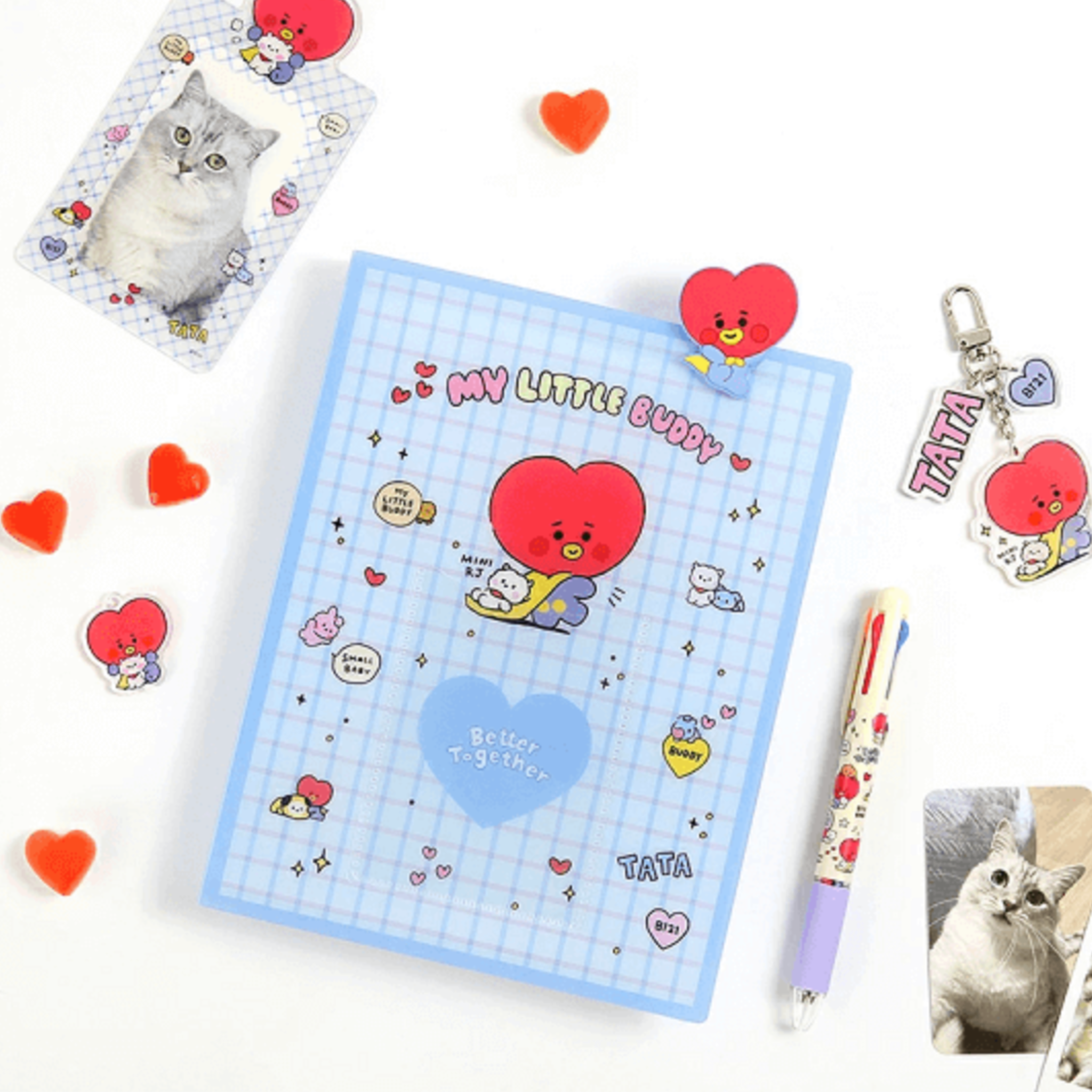 BT21- BINDER LITTLE BUDDY