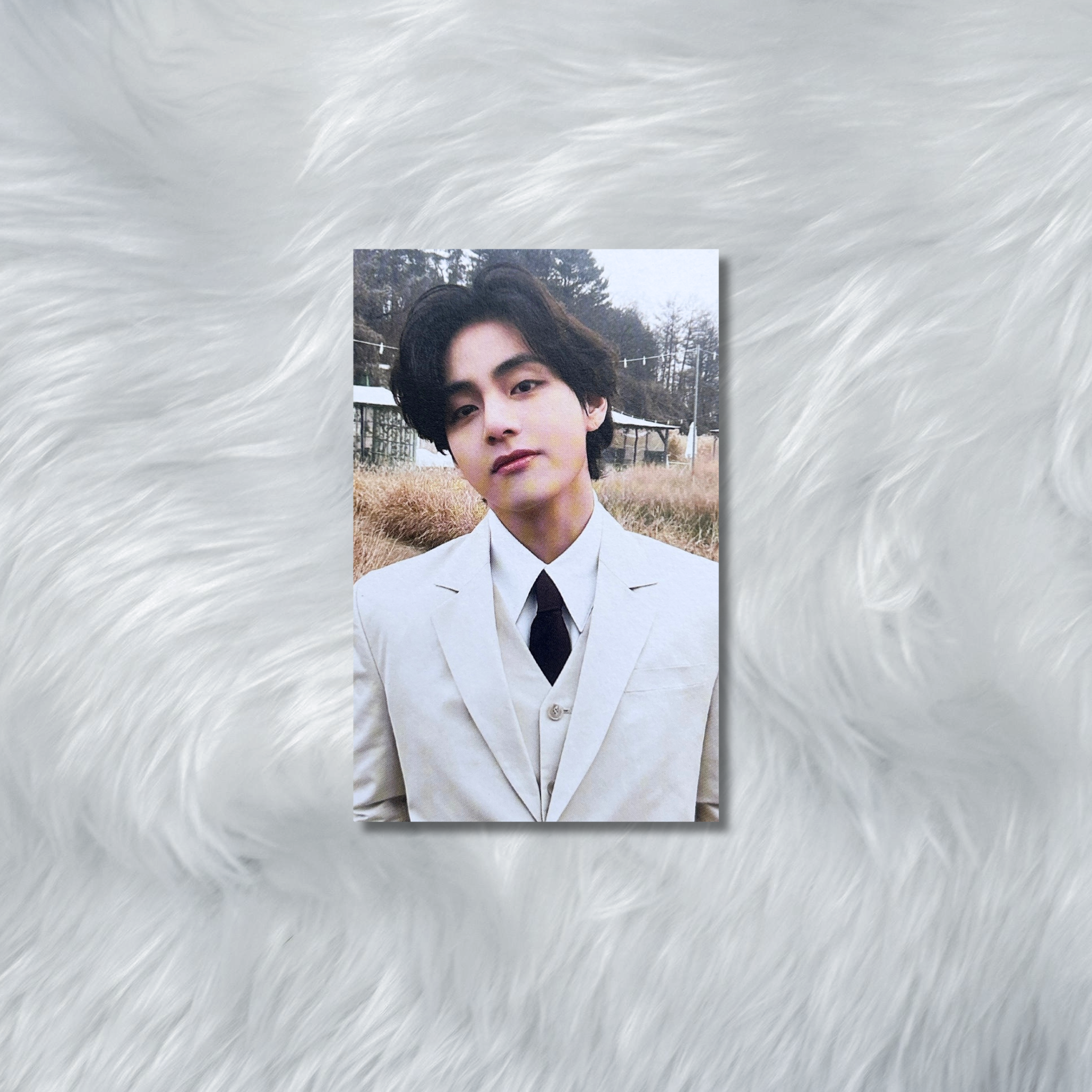 V-Veautiful Days Photocards