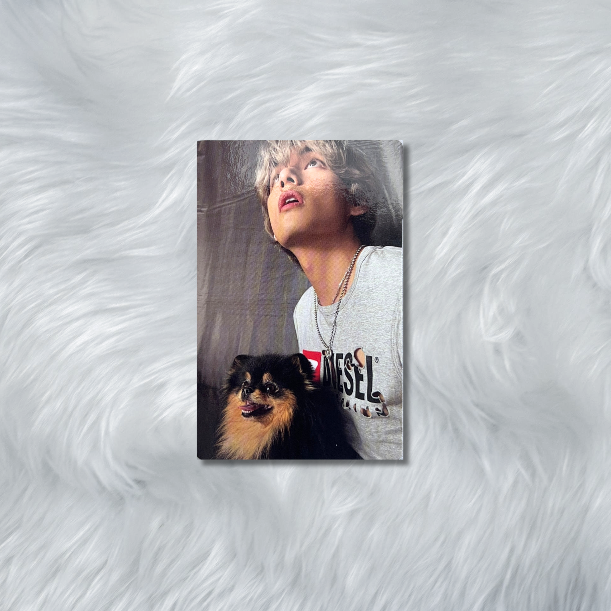 V-Layover Photocard #5