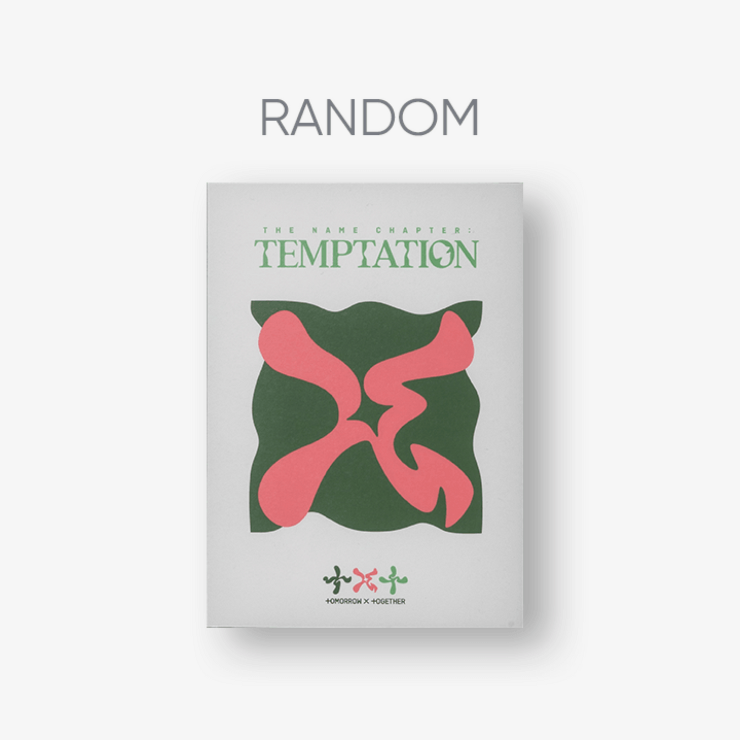 TXT - The Name Chapter: TEMPTATION