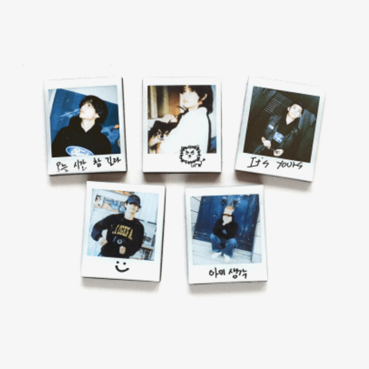 V (BTS) Layover MD Magnet Set (S)