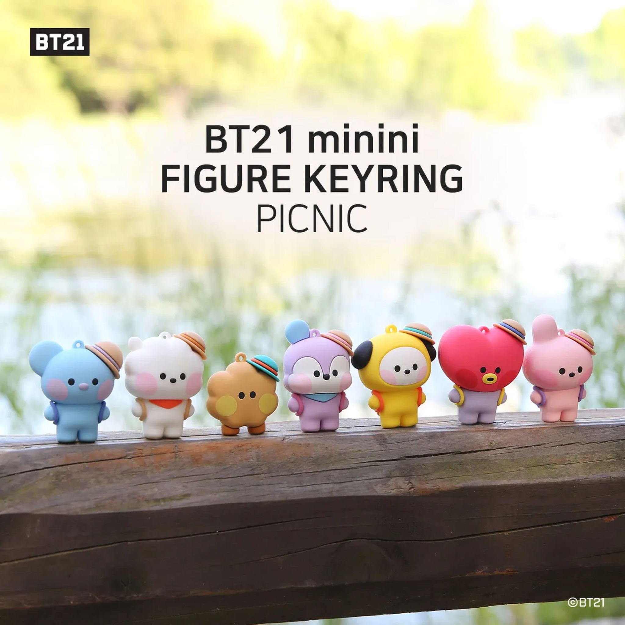 BT21-Minini Figure Keyring Picnic