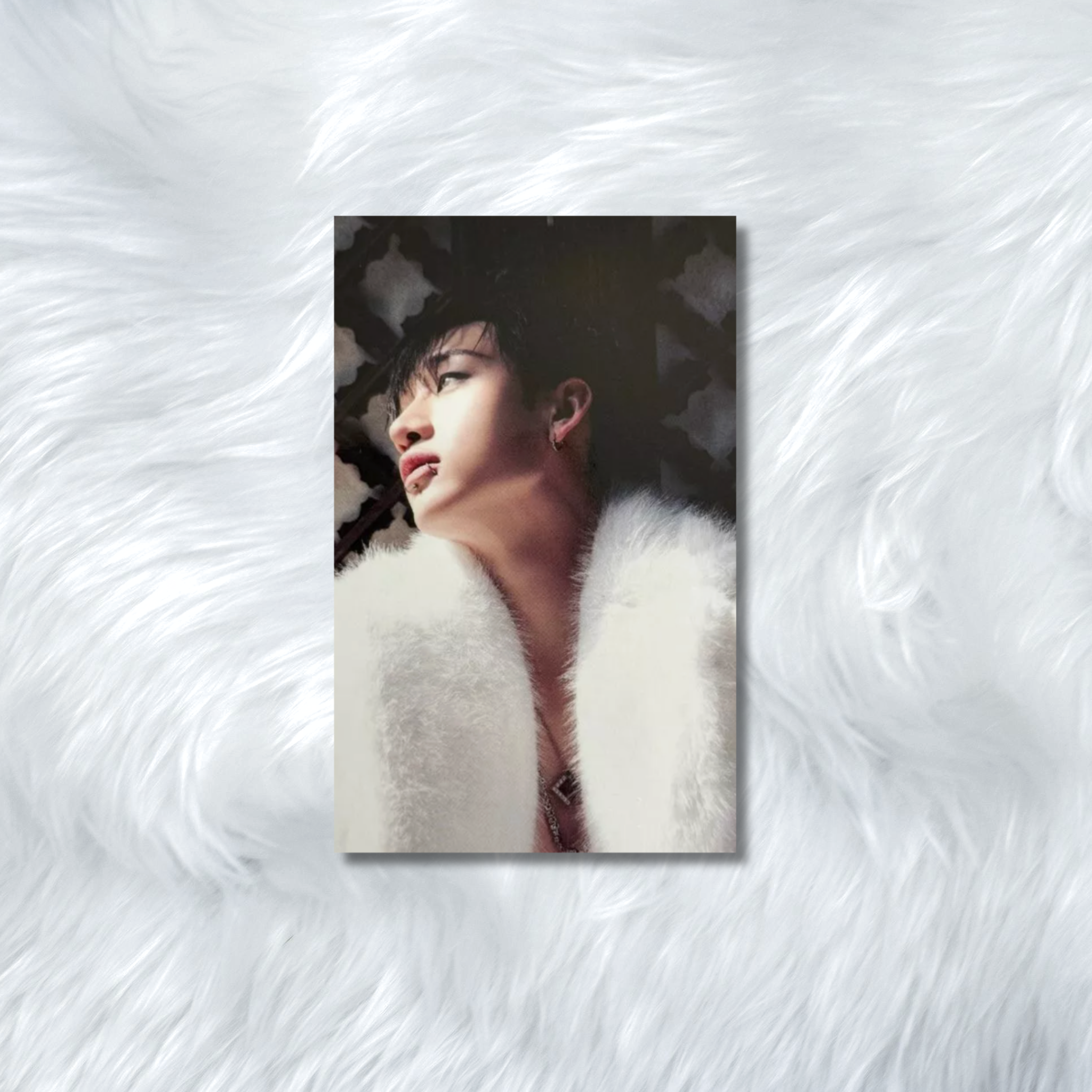 Stray Kids Bang Chan-SKZHOP Photocard