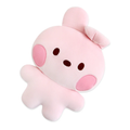BT21- Cooky Minini Flat Cushion