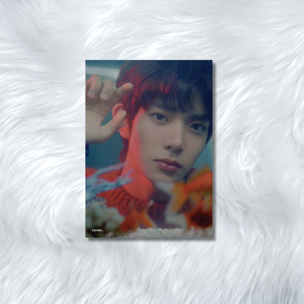 ENHYPEN- HYBE INSIGHT PHOTOCARDS