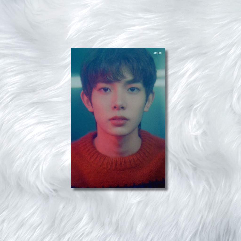 ENHYPEN- HYBE INSIGHT PHOTOCARDS