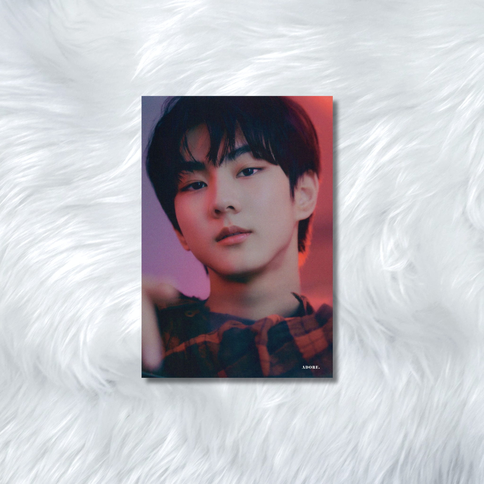 ENHYPEN- HYBE INSIGHT PHOTOCARDS