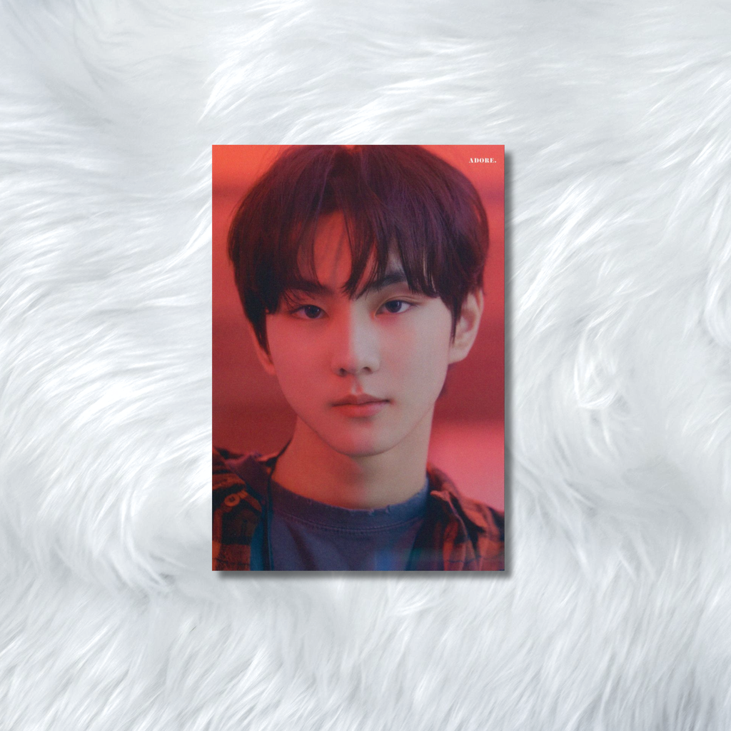 ENHYPEN- HYBE INSIGHT PHOTOCARDS
