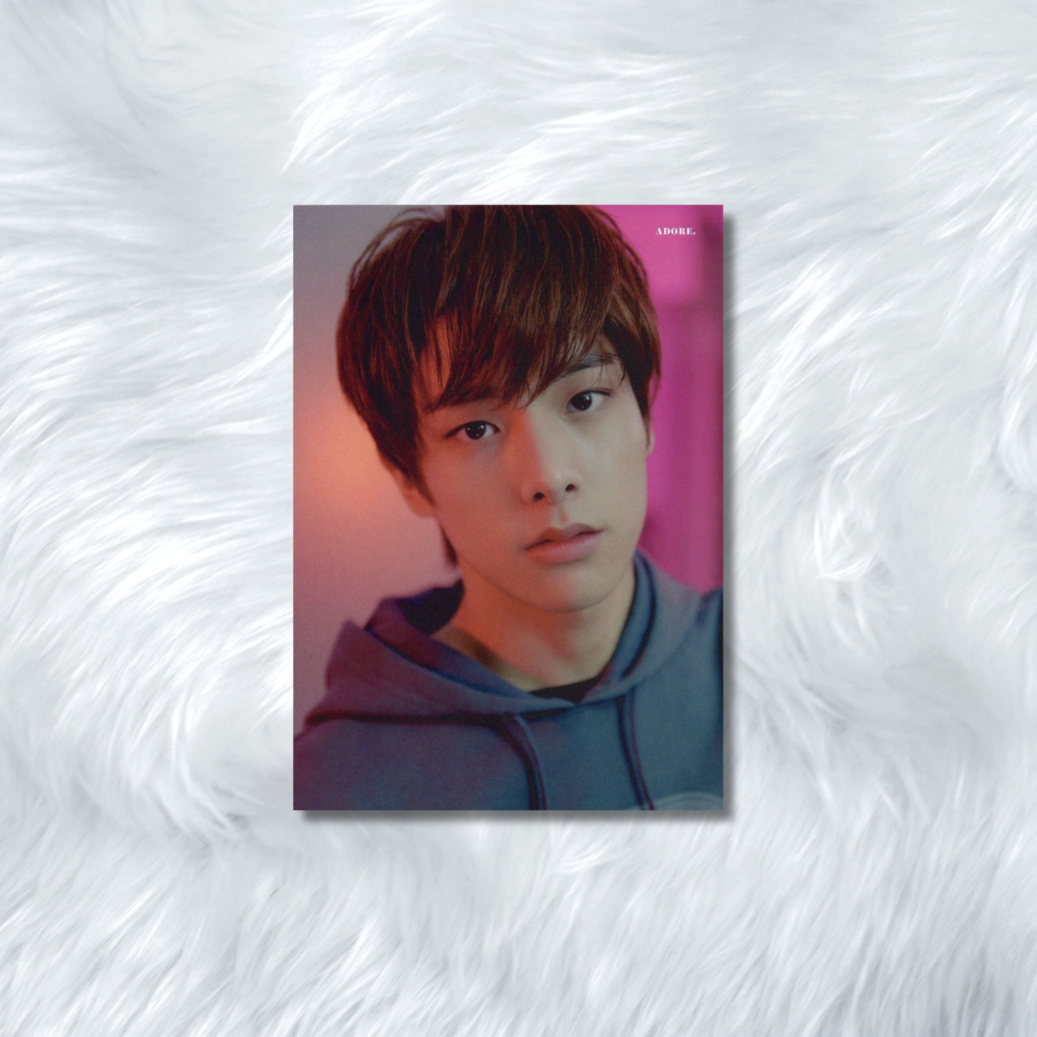 ENHYPEN- HYBE INSIGHT PHOTOCARDS