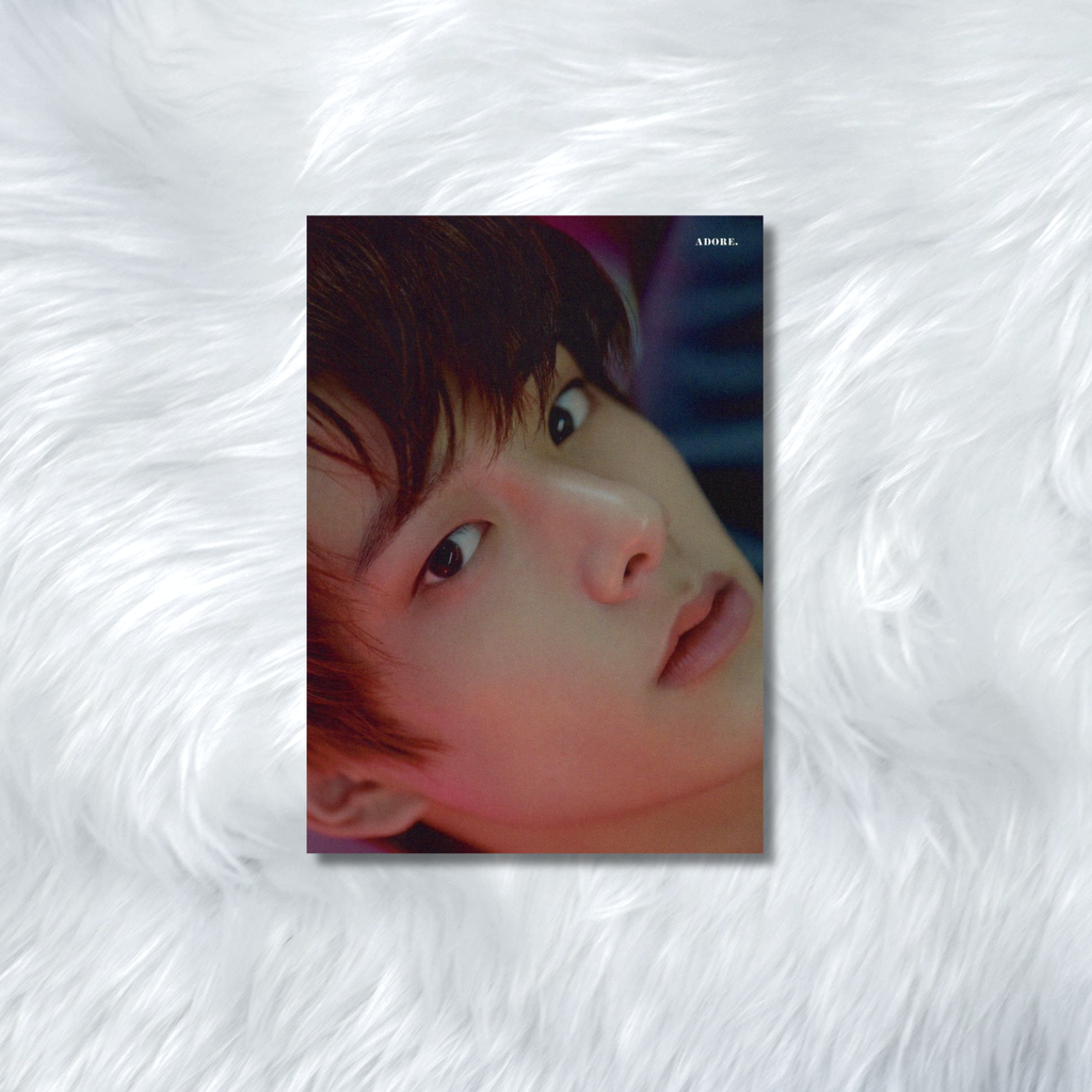 ENHYPEN- HYBE INSIGHT PHOTOCARDS