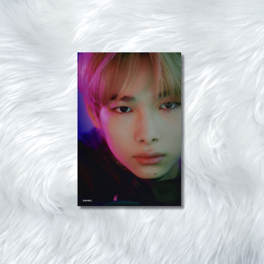 ENHYPEN- HYBE INSIGHT PHOTOCARDS
