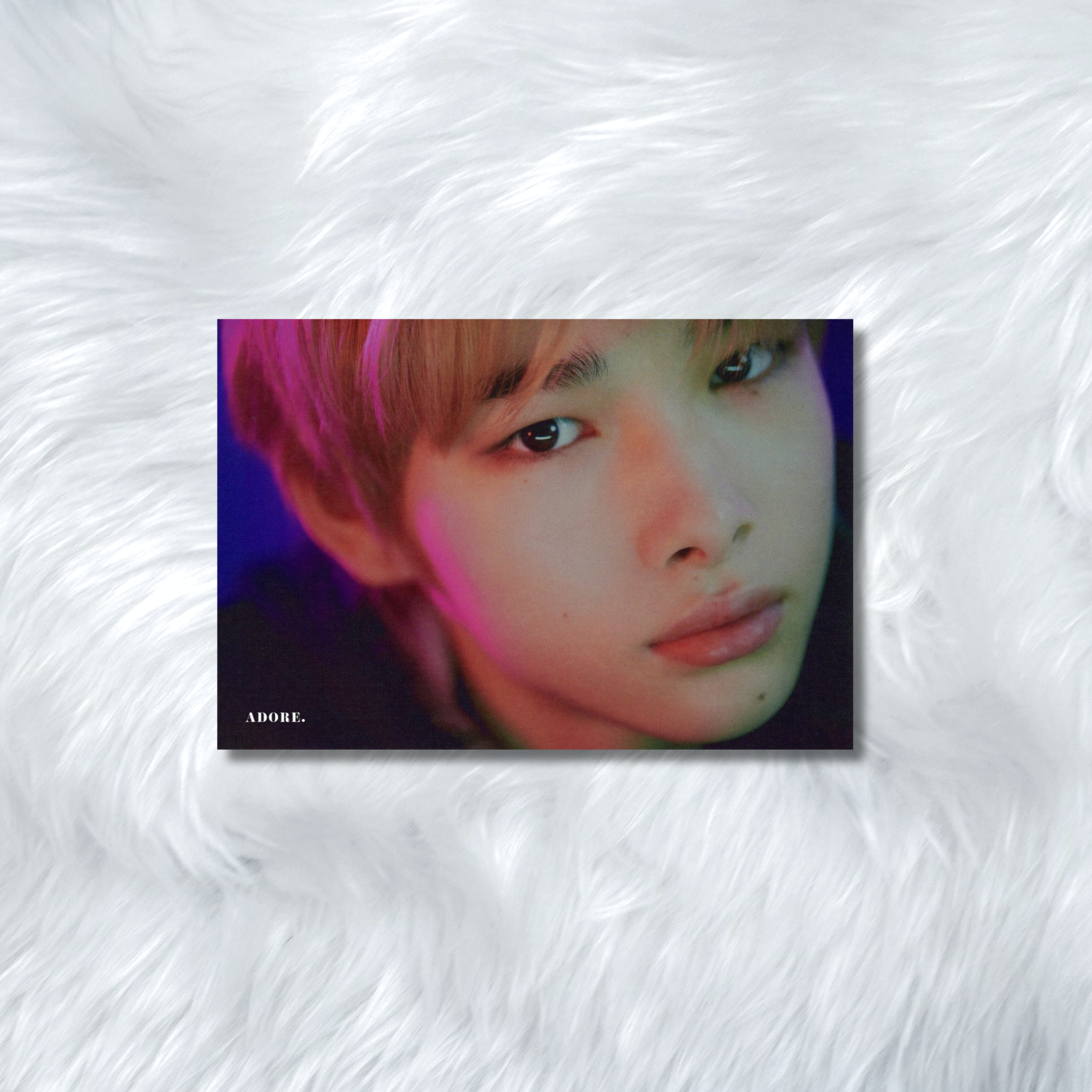 ENHYPEN- HYBE INSIGHT PHOTOCARDS