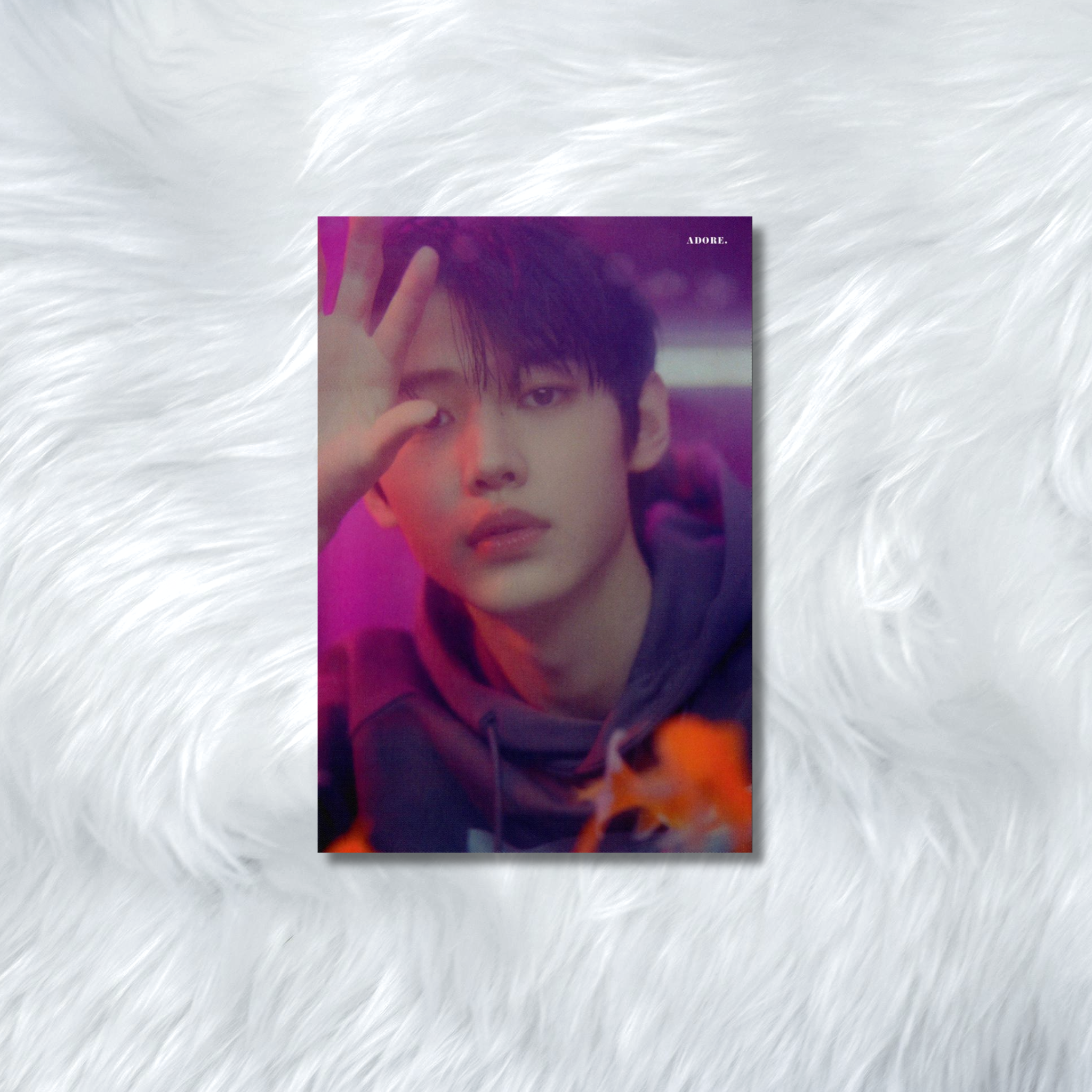 ENHYPEN- HYBE INSIGHT PHOTOCARDS