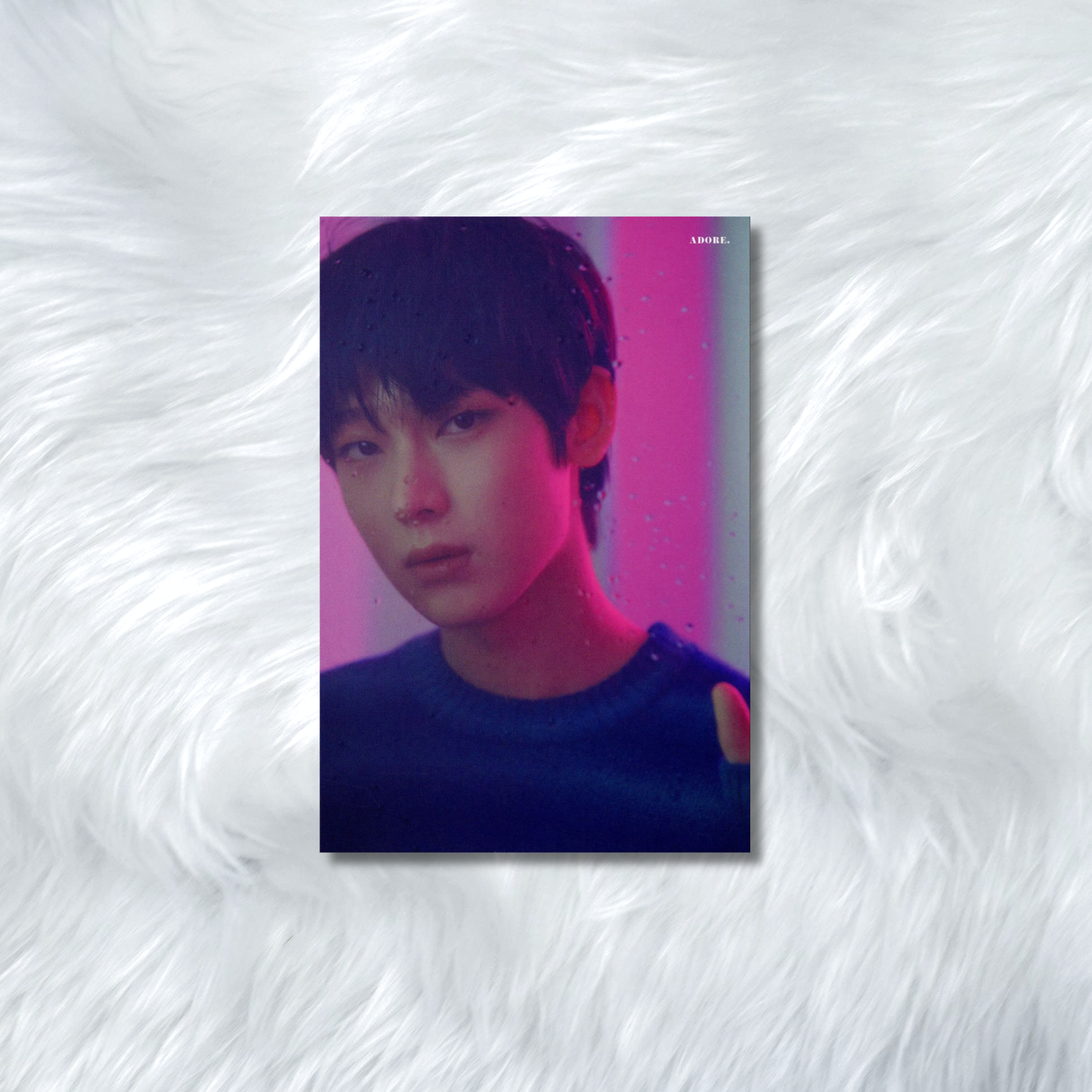 ENHYPEN- HYBE INSIGHT PHOTOCARDS