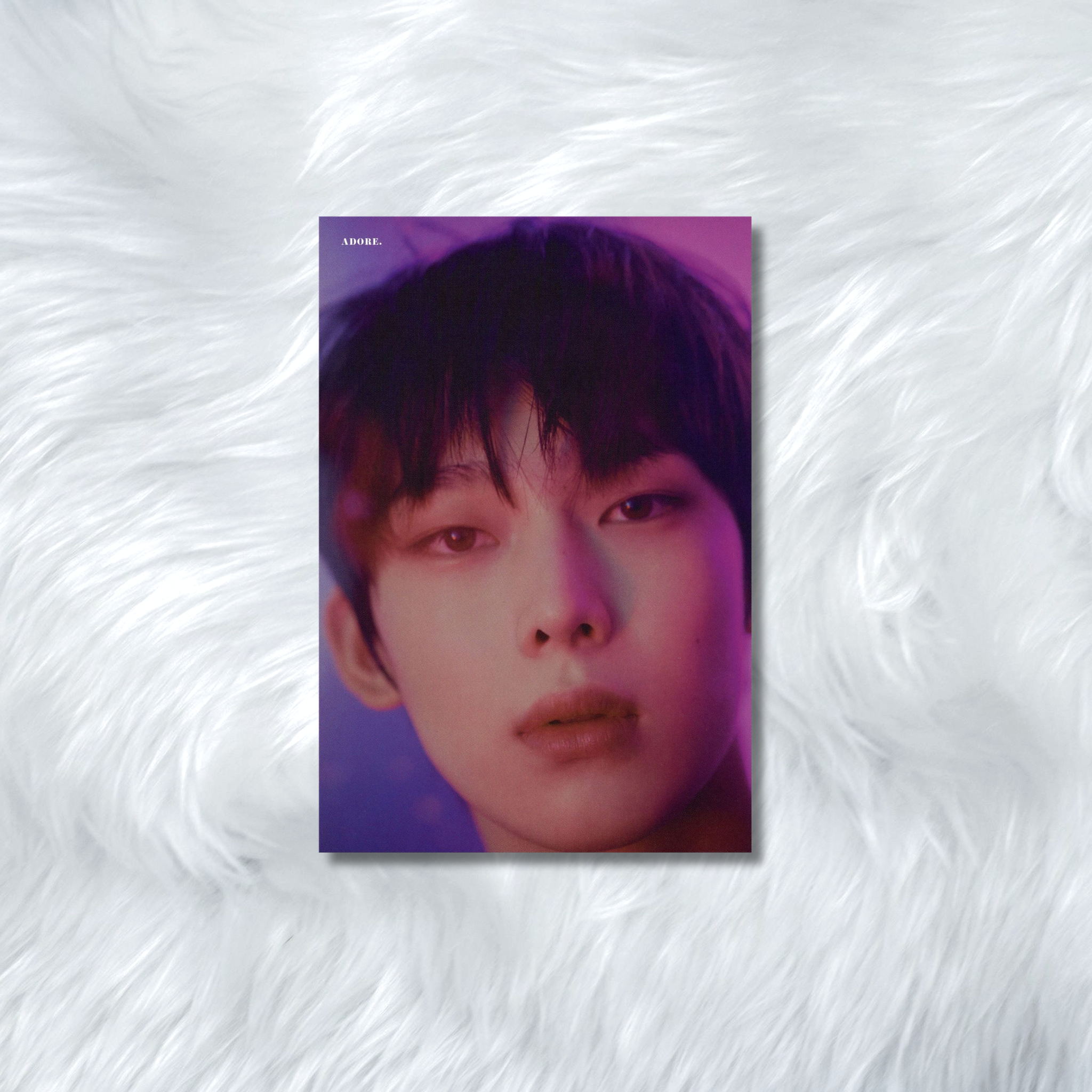 ENHYPEN- HYBE INSIGHT PHOTOCARDS