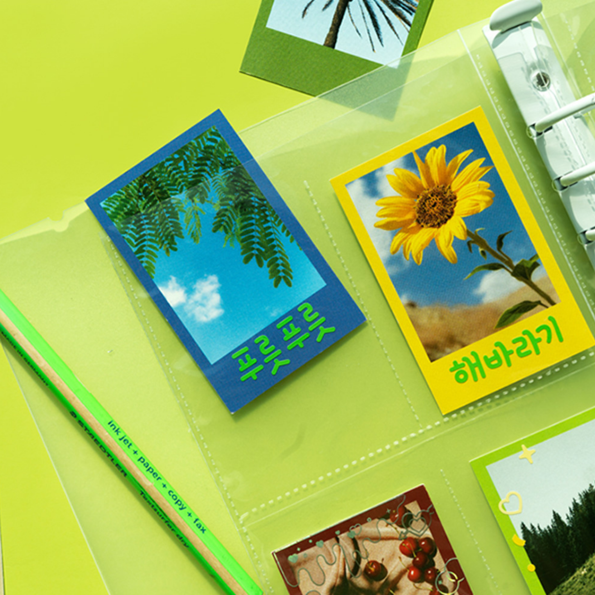 LUCALAB- Hojas transparentes para Binder A5