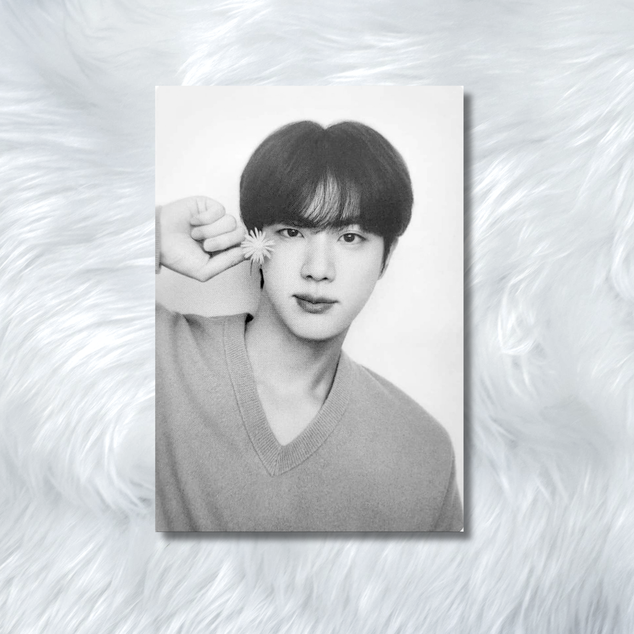 BTS (JIN)- MONOCROME Photocards