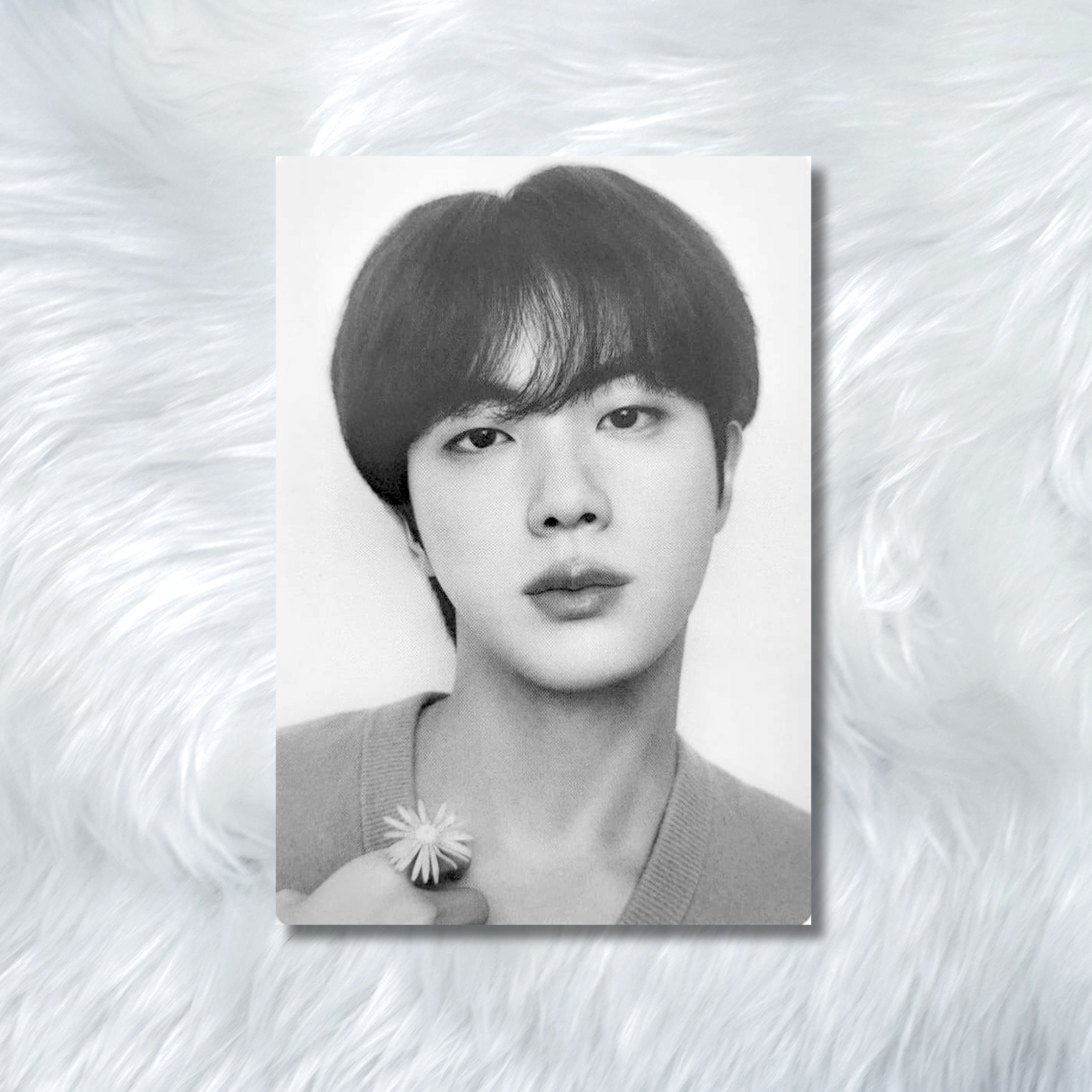 BTS (JIN)- MONOCROME Photocards