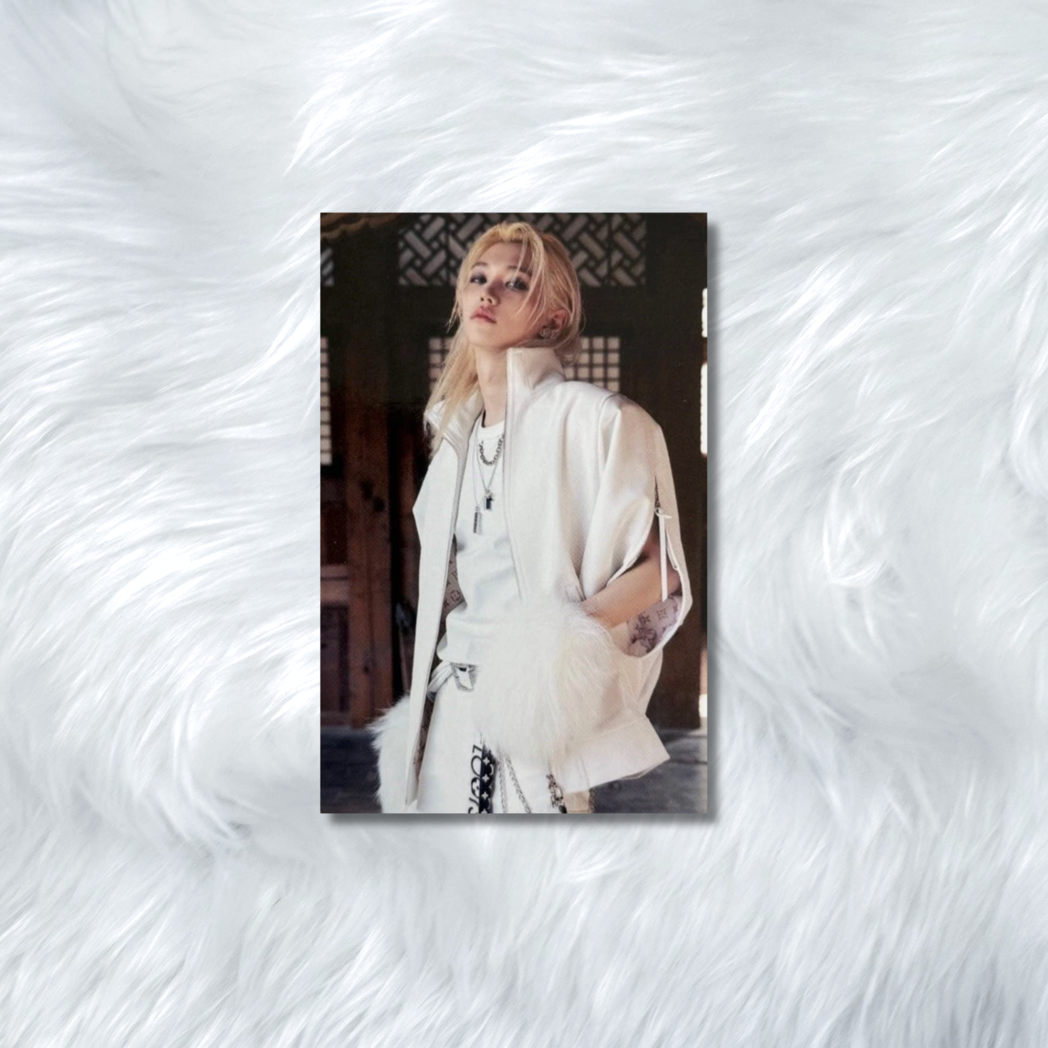 Stray Kids Felix -SKZHOP Photocard